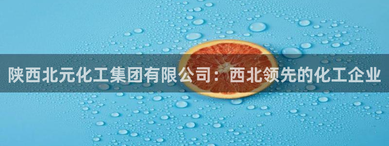 球盟会官方网入口