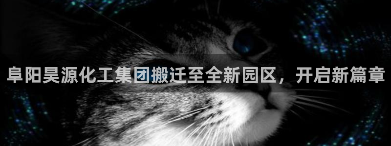 球盟会用的客服聊天是哪个软件