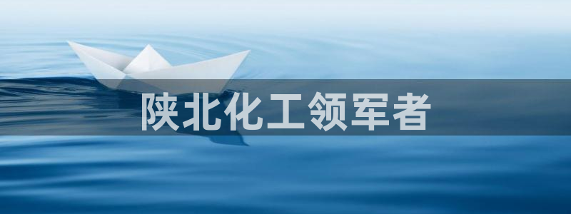 球盟会网页登录app下载地址：陕北化工领军者