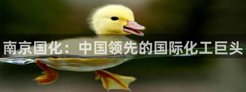 球盟会app最新地址在哪找