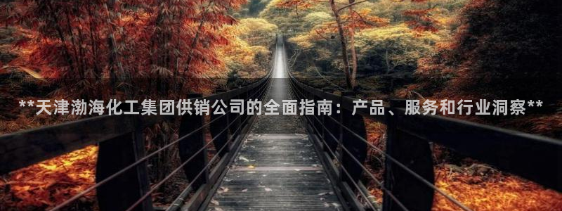 千亿球盟会乐玩：**天津渤海化工集团供销公司的全面指南：产品