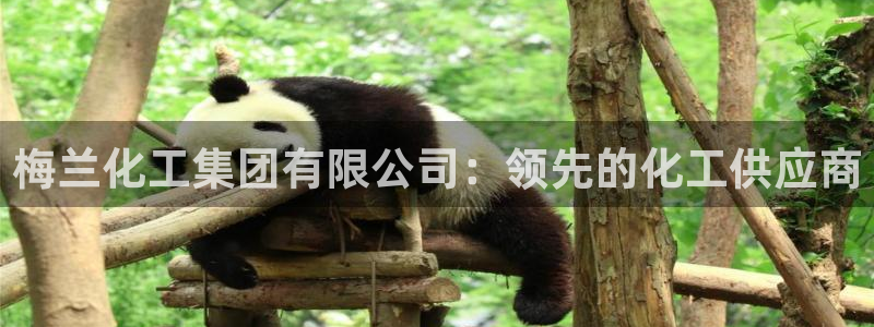 球盟会app网址多少：梅兰化工集团有限公司：领先的化工供应商