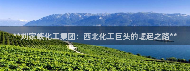 球盟会体育app官方网站