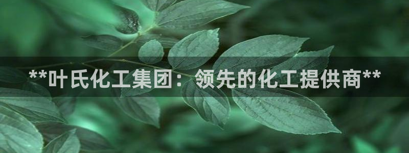 球盟会和中欧