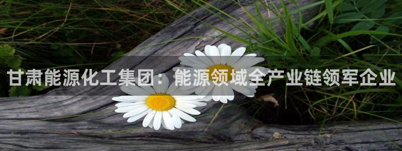 球盟会有没有黑单的球员