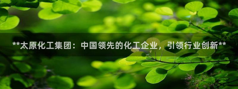 球盟会黑款吗知乎小说