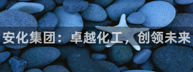 球盟会qm9