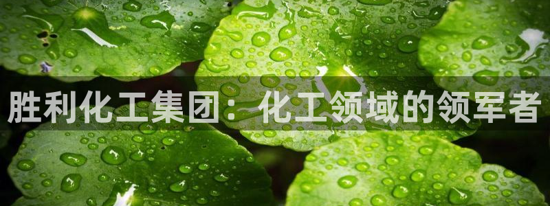 球盟会在线官网