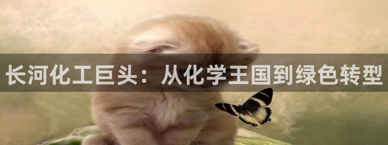 球盟会最新网