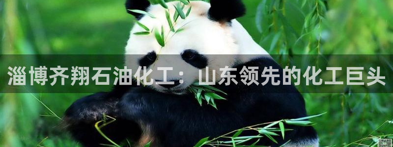 球盟会官方网站是什么