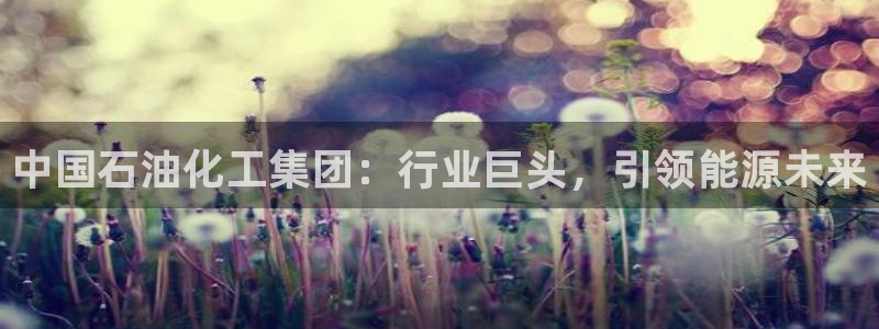 球盟会app
