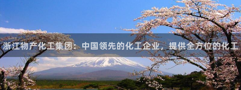 球盟会官方登录平台：浙江物产化工集团：中国领先的化工企业，提