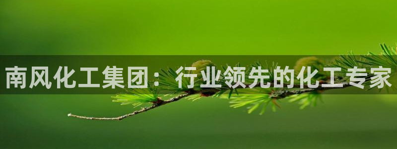 球盟会最新活动