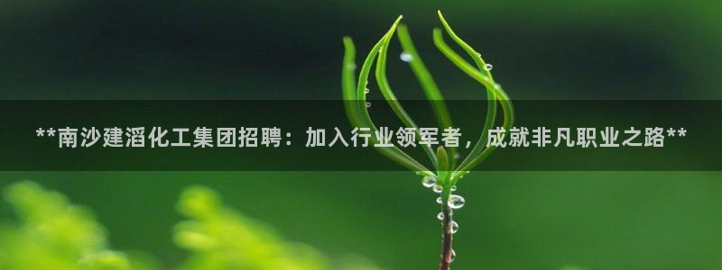 球盟会有限公司怎么样