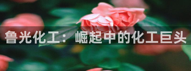 球盟会网址qm9 - 球盟会qmh网页版登录