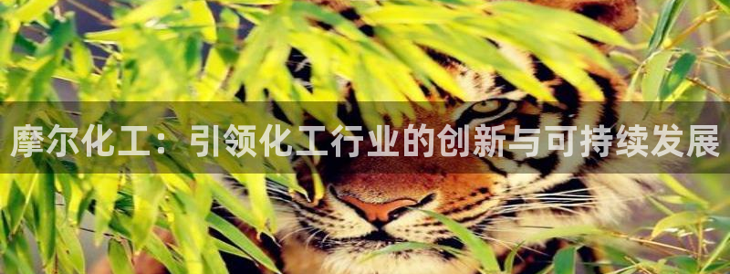 球盟会qm