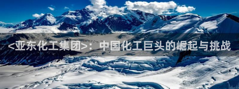 球盟会和中欧会的区别
