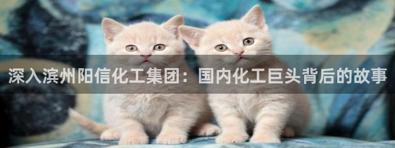 球盟会网页登录入口