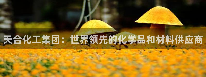 球盟会官方