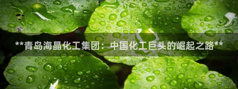 球盟会官方最新入口