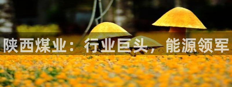 球盟会下载最新版