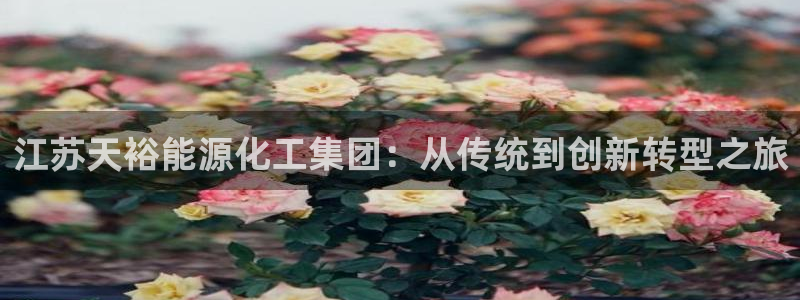 球盟会电子好下吗