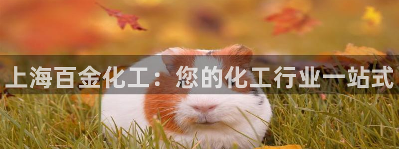球盟会可靠不