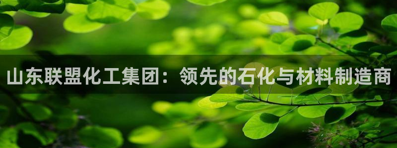 球盟会app最新地址下载安装