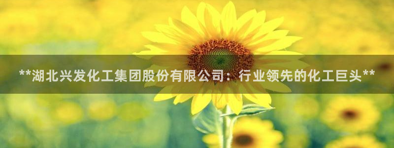 球盟会qm8597