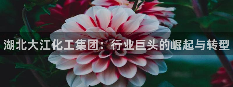 球盟会类似的网站