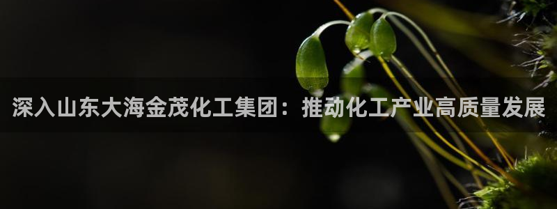 球盟会app最新地址在哪找