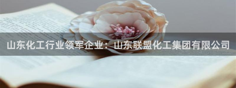 球盟会头号玩家：山东化工行业领军企业：山东联盟化工集团有限公