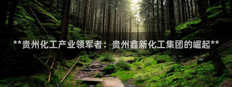 球盟会官方网站是什么