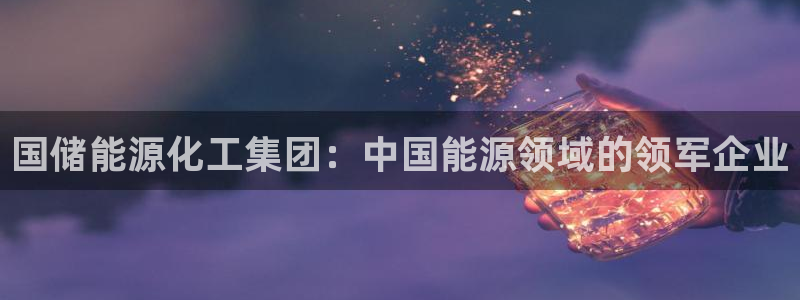 球盟会有没有黑单的活动：国储能源化工集团：中国能源领域的领军
