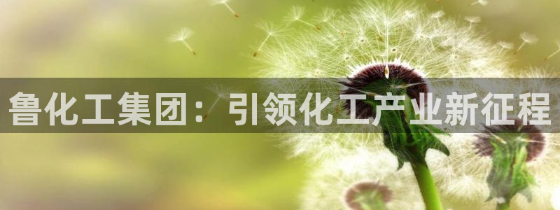 球盟会网页登录