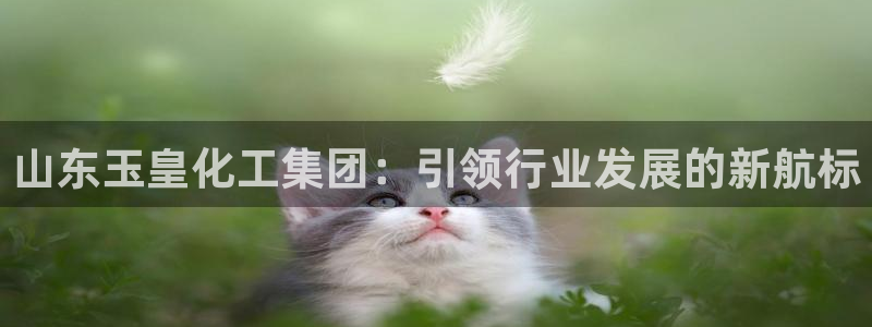 球盟会电子游戏平台