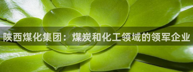 球盟会下载最新版