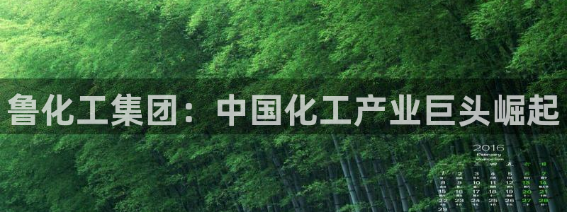 球盟会qmh登录地址