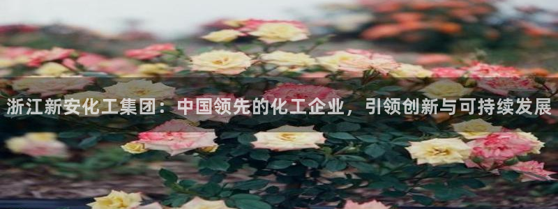 球盟会论坛