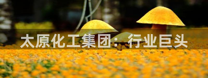 球盟会头号玩家