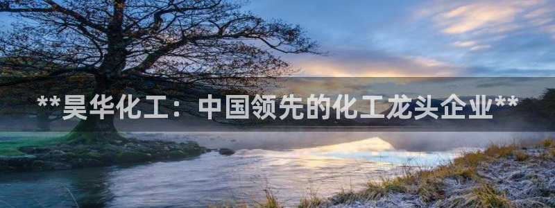 球盟会可以提现么现在