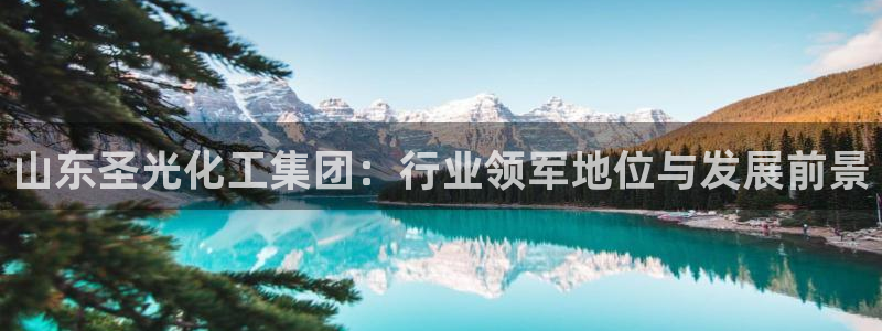 球盟会qmh