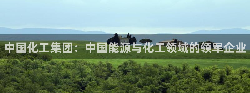 球盟会地址