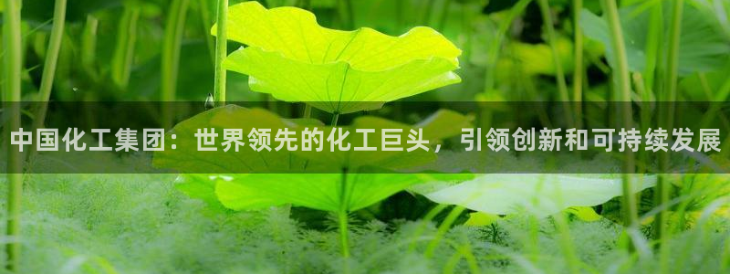 球盟会能提现吗安全吗