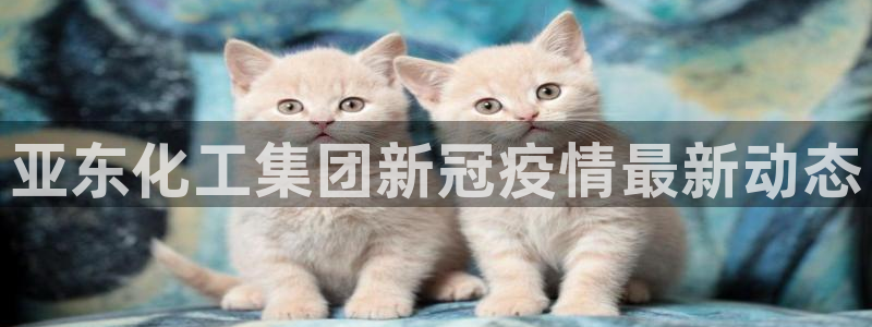 球盟会游戏