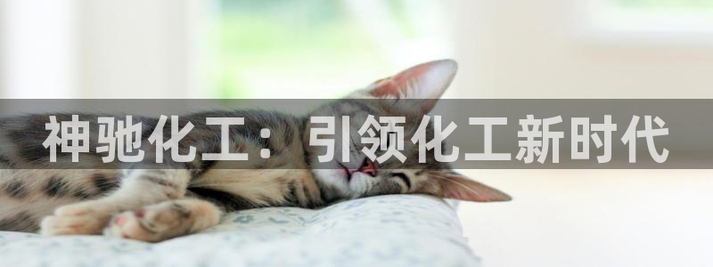 球盟会app最新地址下载安装：神驰化工：引领化工新时代