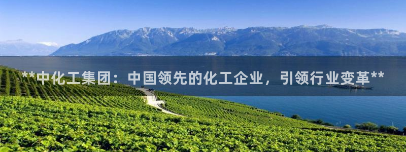 球盟会最新地址备用