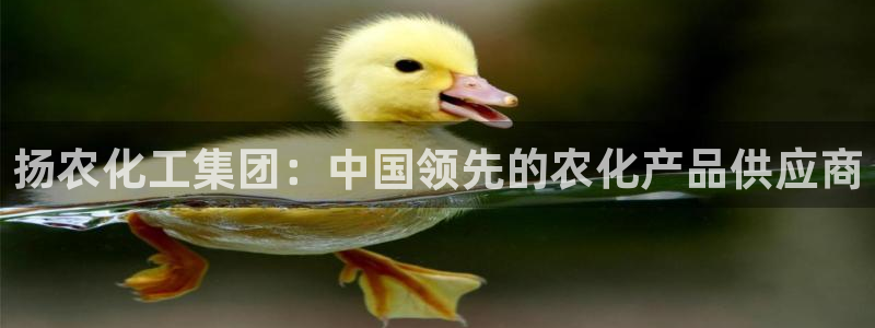 球盟会qmh - 球盟会官方网站