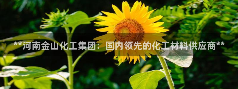 球盟会网址