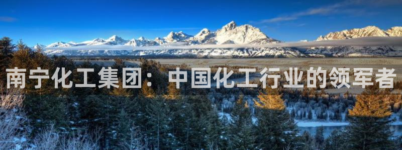 球盟会qm8597：南宁化工集团：中国化工行业的领军者